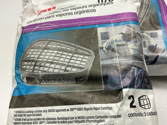 2 Packs, As Shown - 3M 07046 Organic Vapor Filter Cartridge 6001 Expires 06-2029