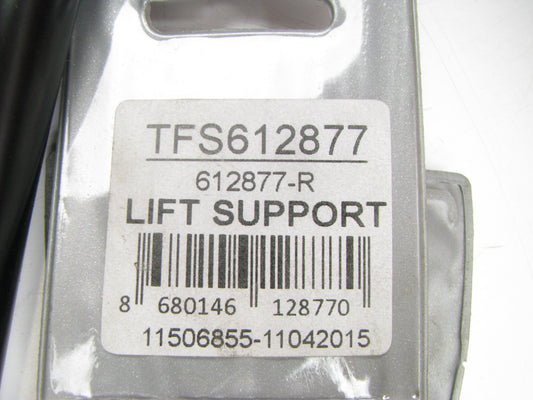 Autopart International TFS612877 RIGHT Hatch Tail Gate Lift Support Shock Strut