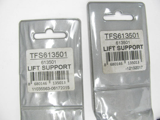 (2) Autopart TFS613501 Hood Lift Support For 1978-96 Buick Century 1978-87 Regal