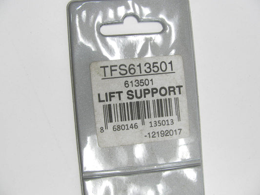 Autopart TFS613501 Hood Lift Support For 1978-96 Buick Century 1978-87 Regal