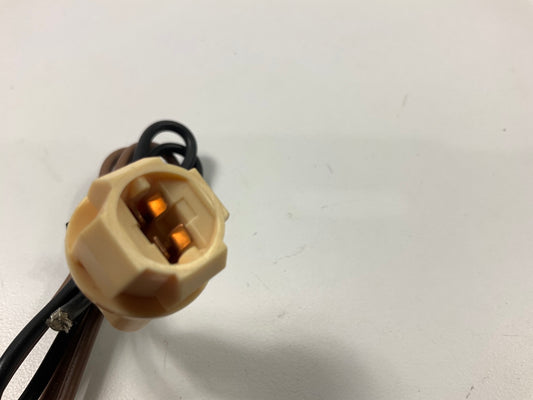 BWD PT101 Side Marker Lamp Light Bulb Socket