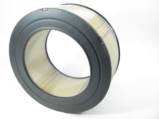 Carquest 87287 Air Filter Replaces CA3325 42287 A23139 LAF965 AF587 AF965 PA2483