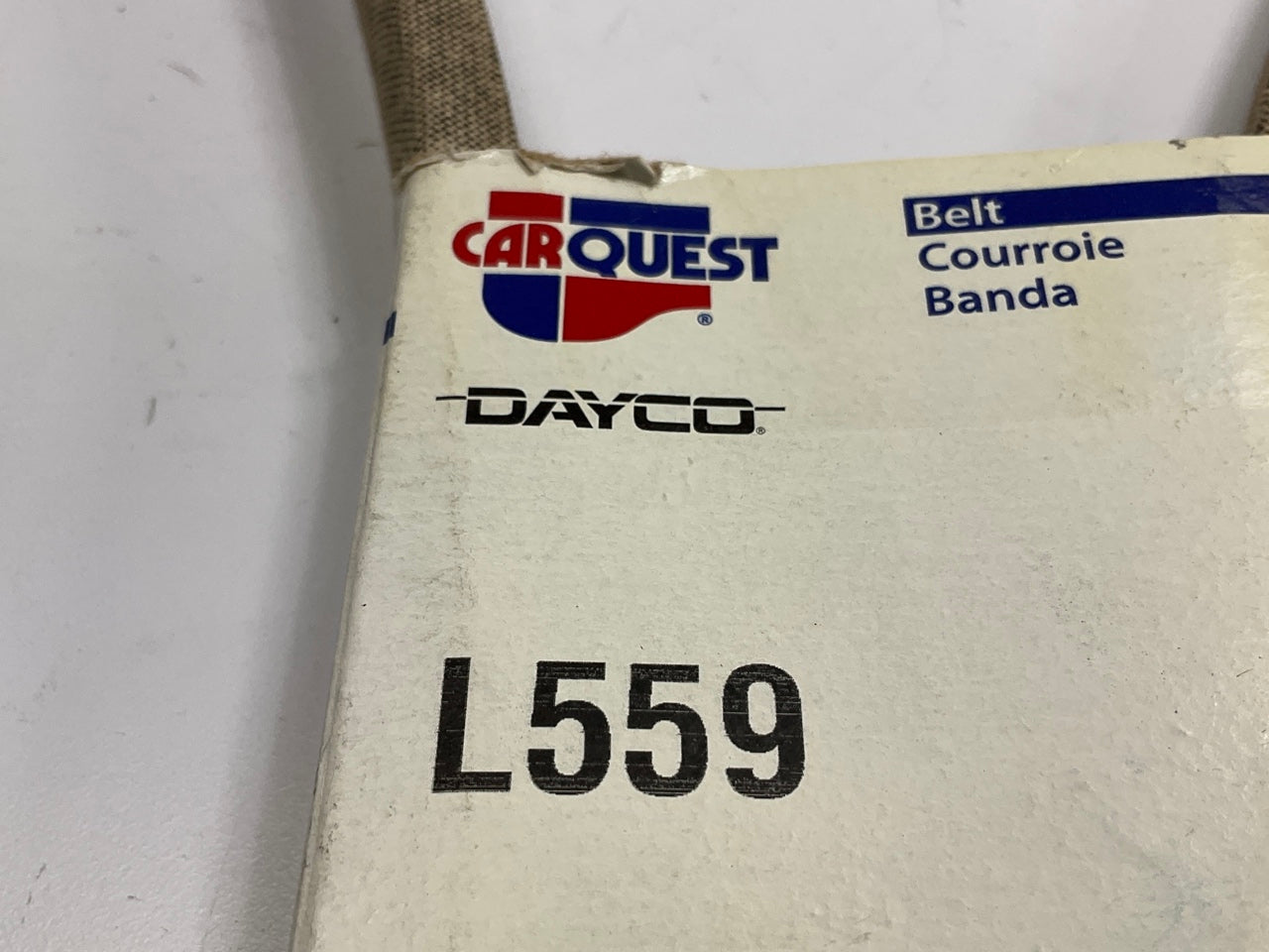 Carquest L559 Lawn & Garden Power Equipment Accessory Drive Belt, 5/8'' X 59''