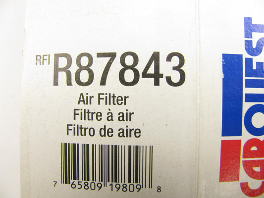 Carquest R87843 Air Filter Replaces: 42843 PA35560 AF3904 AF1298F P614545