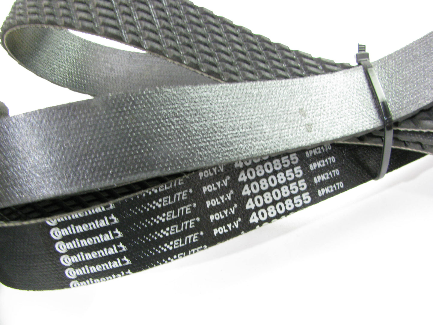 Continental 4080855 Serpentine Belt