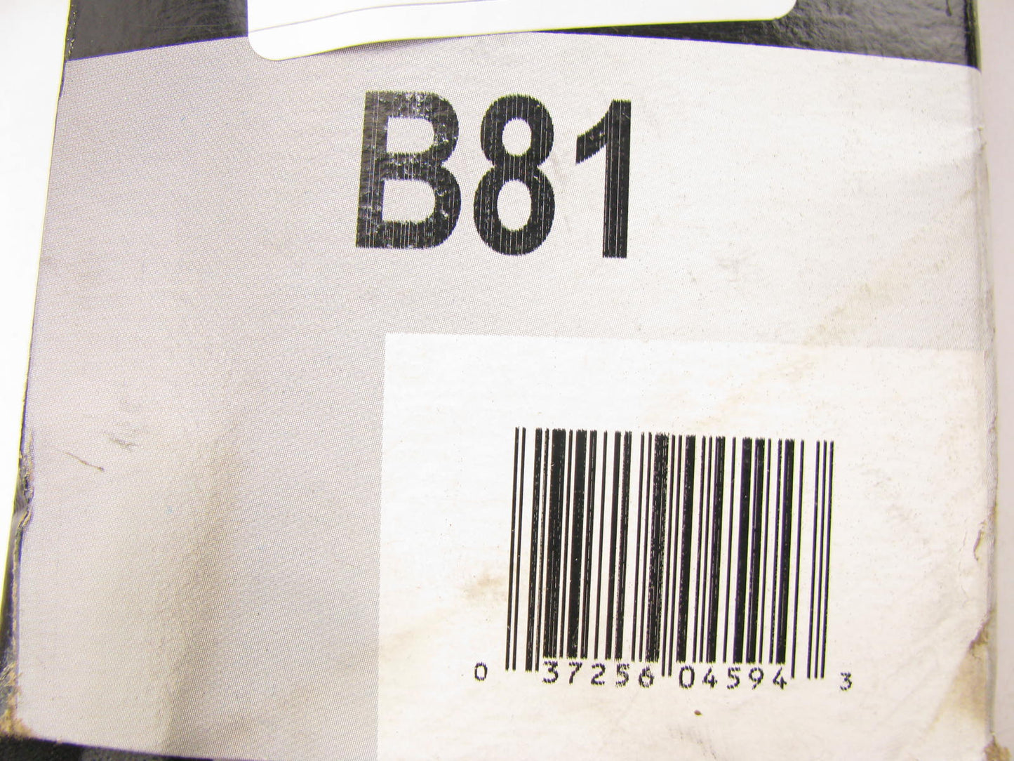 Continental B81 Industrial Accessory Drive Belt - 21/32'' X 84''