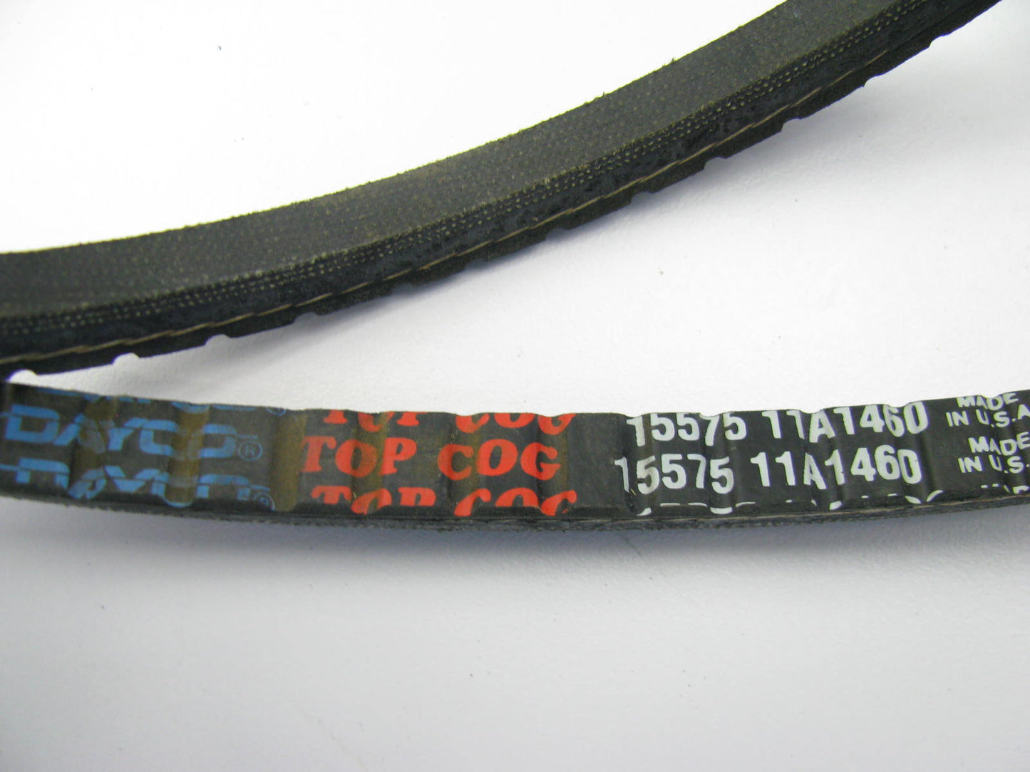 Dayco 15575 Accessory Drive Belt - 0.44'' X 57.50'' - 36 Degree