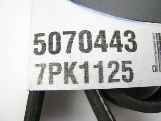 Dayco 5070443 Serpentine Belt - 0.98'' X 44.30 - 7 Ribs