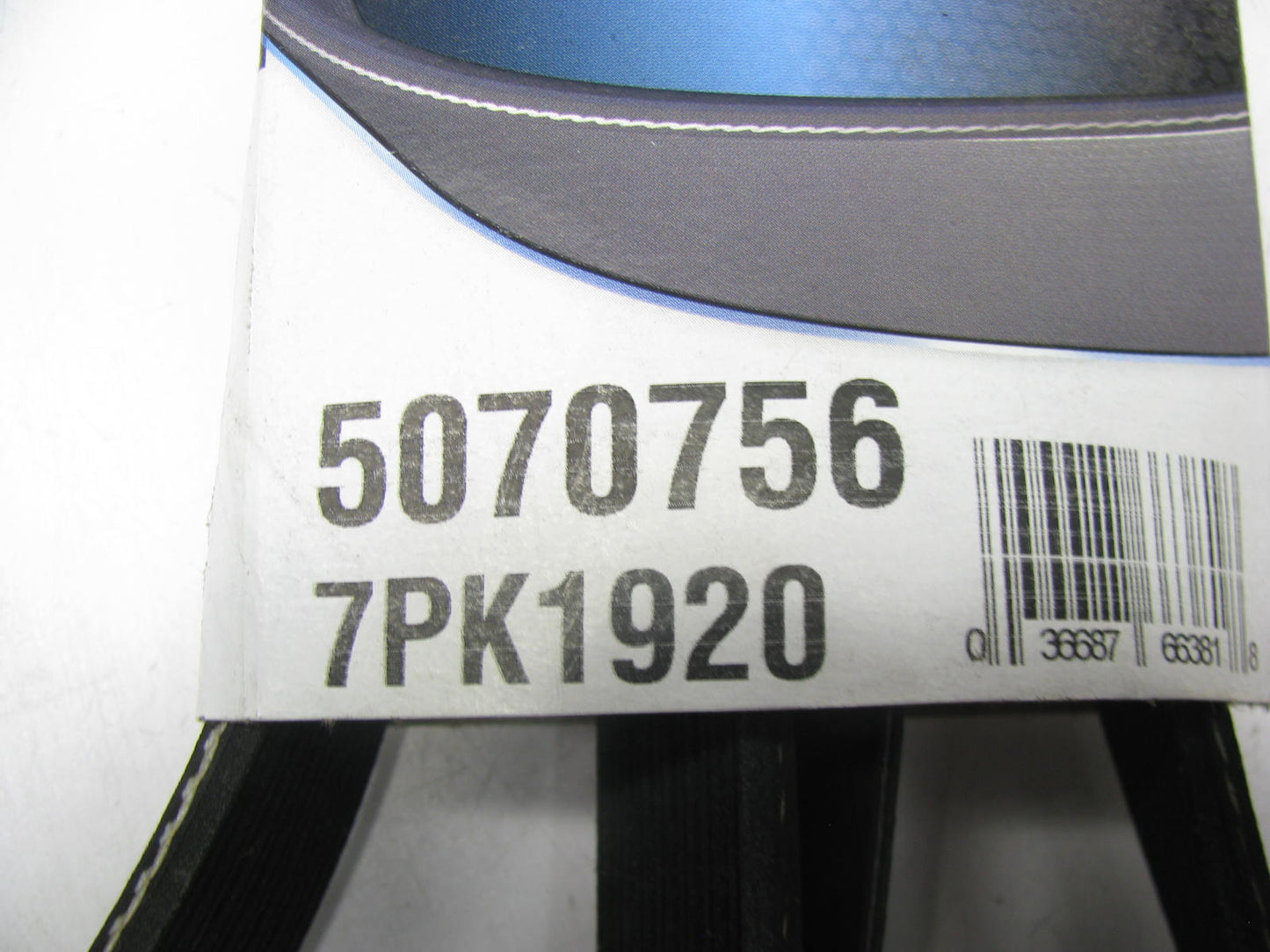 Dayco 5070756 Main Drive Serpentine Belt - 2006-2010 Scion TC 2.4L