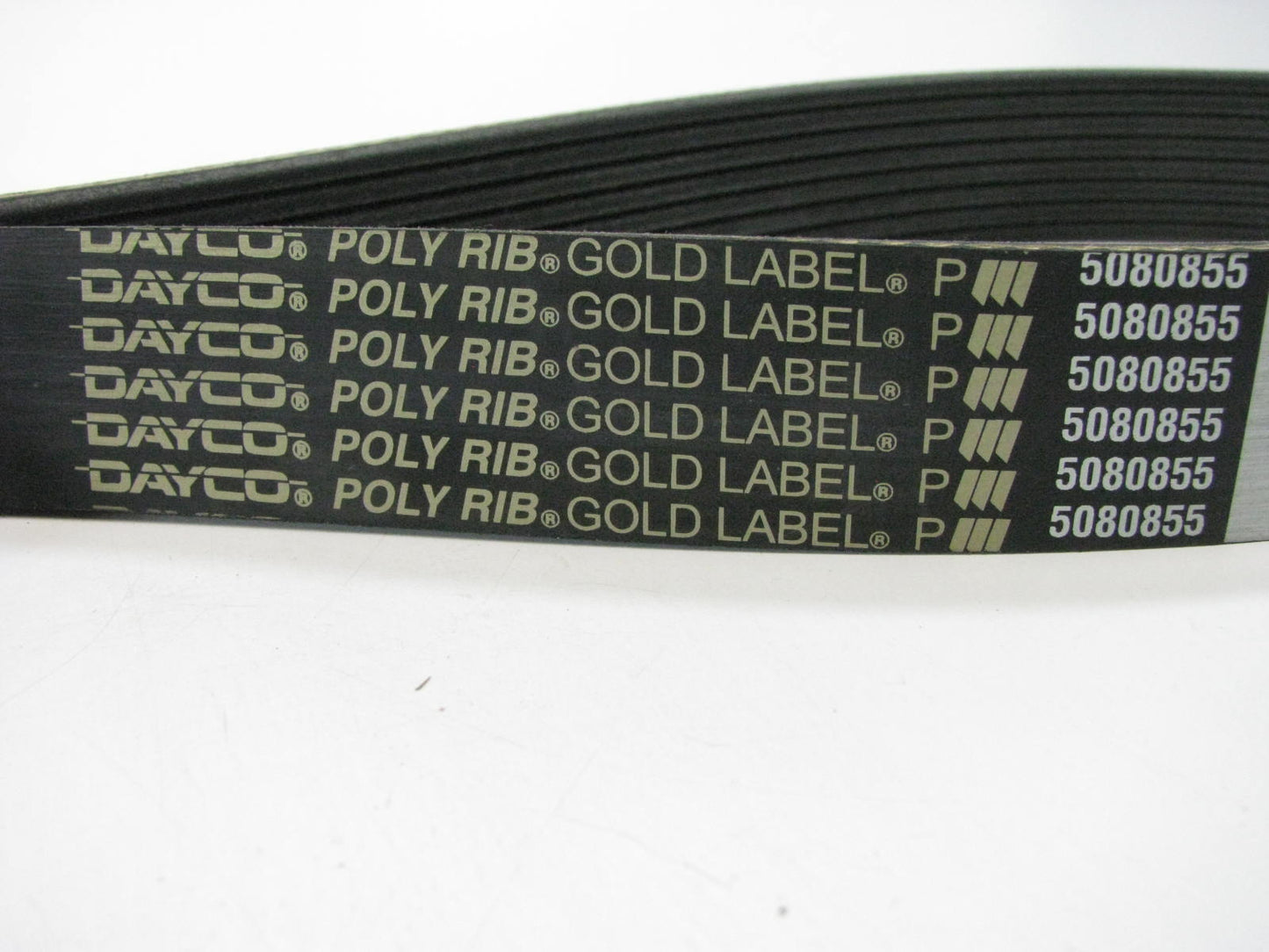 Dayco 5080855 Serpentine Belt - 1.12'' X 86.00'' - 8 Ribs