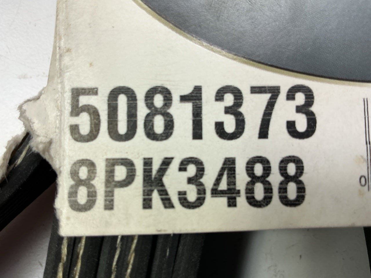 Dayco 5081373 DUAL ALTERNATOR Serpentine Drive Belt - 99-03 Powerstroke 7.3L