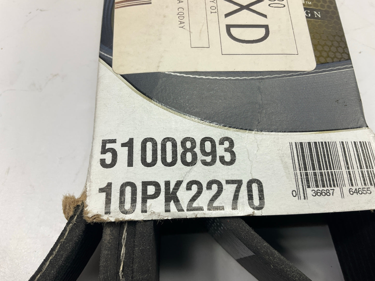 Dayco 5100893 Serpentine Belt