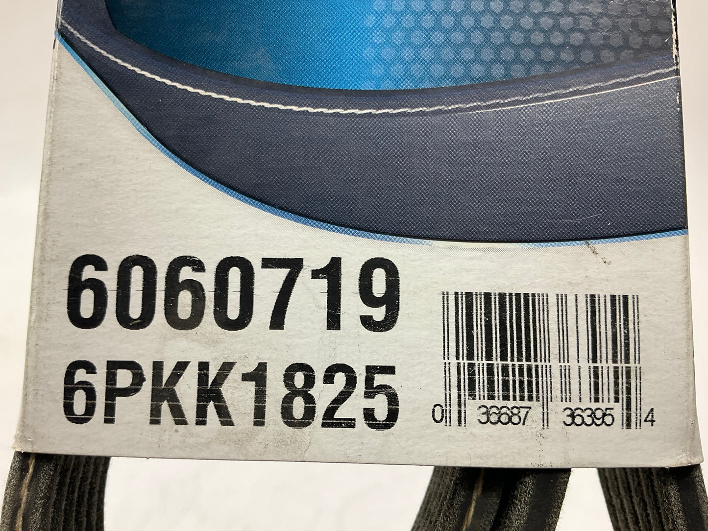 Dayco 6060719 Double Sided Serpentine Belt