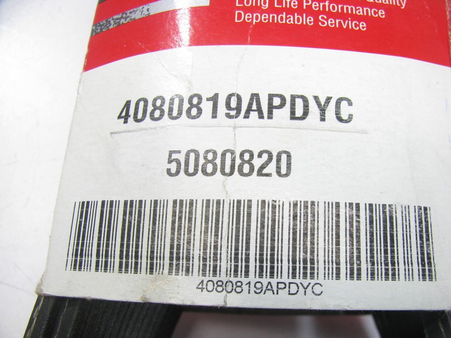Dynacraft 4080819APDYC Serpentine Belt - 1.12'' X 82.50'' - 8 Ribs