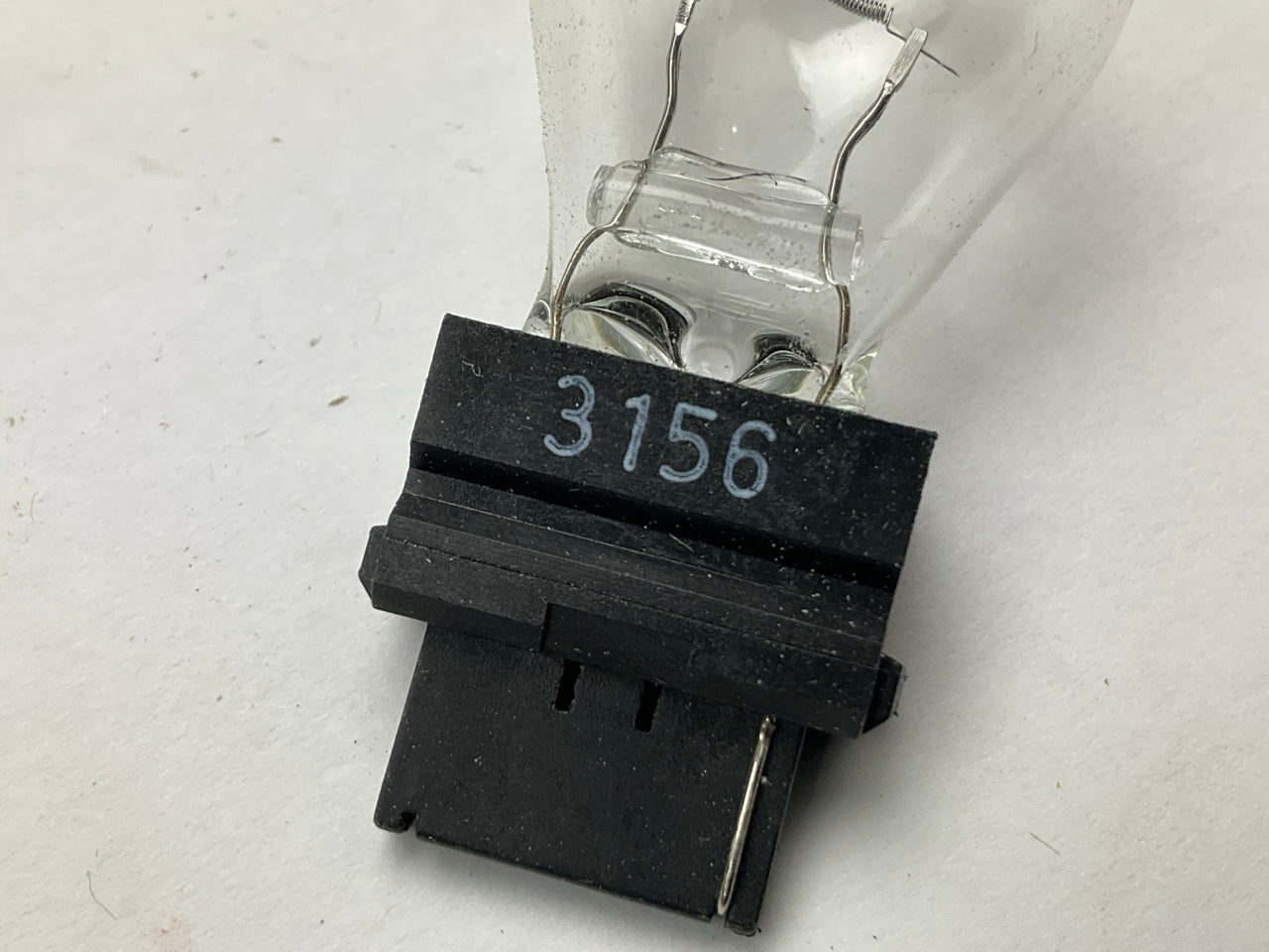 (10) Eiko 3156 Reverse / Back Up Light Bulbs