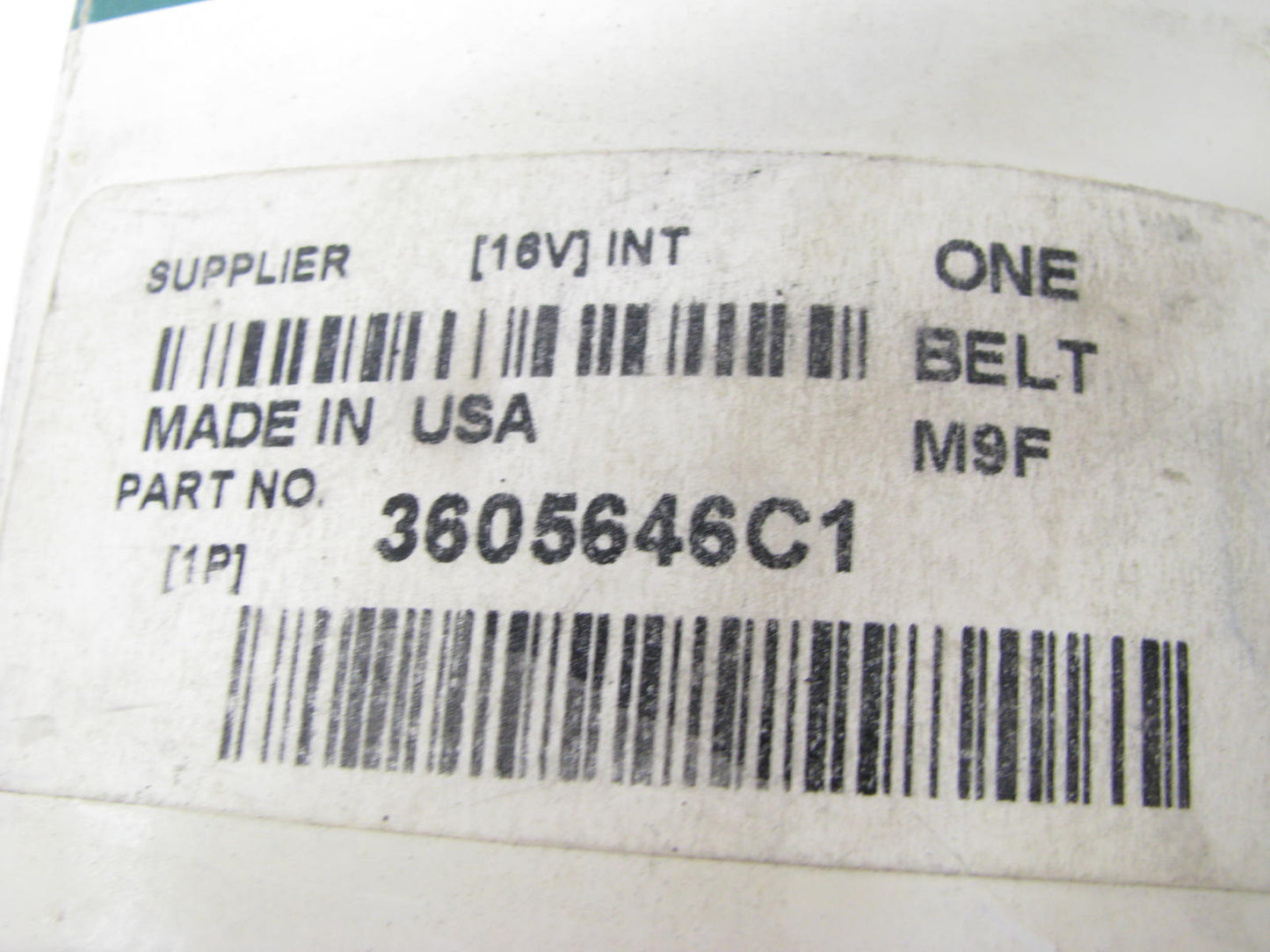 Fleetrite 3605646C1 Serpentine Belt