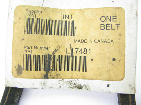 Fleetrite L17481 Accessory Drive Belt - 0.53'' X 48.25'' - 36 Degree