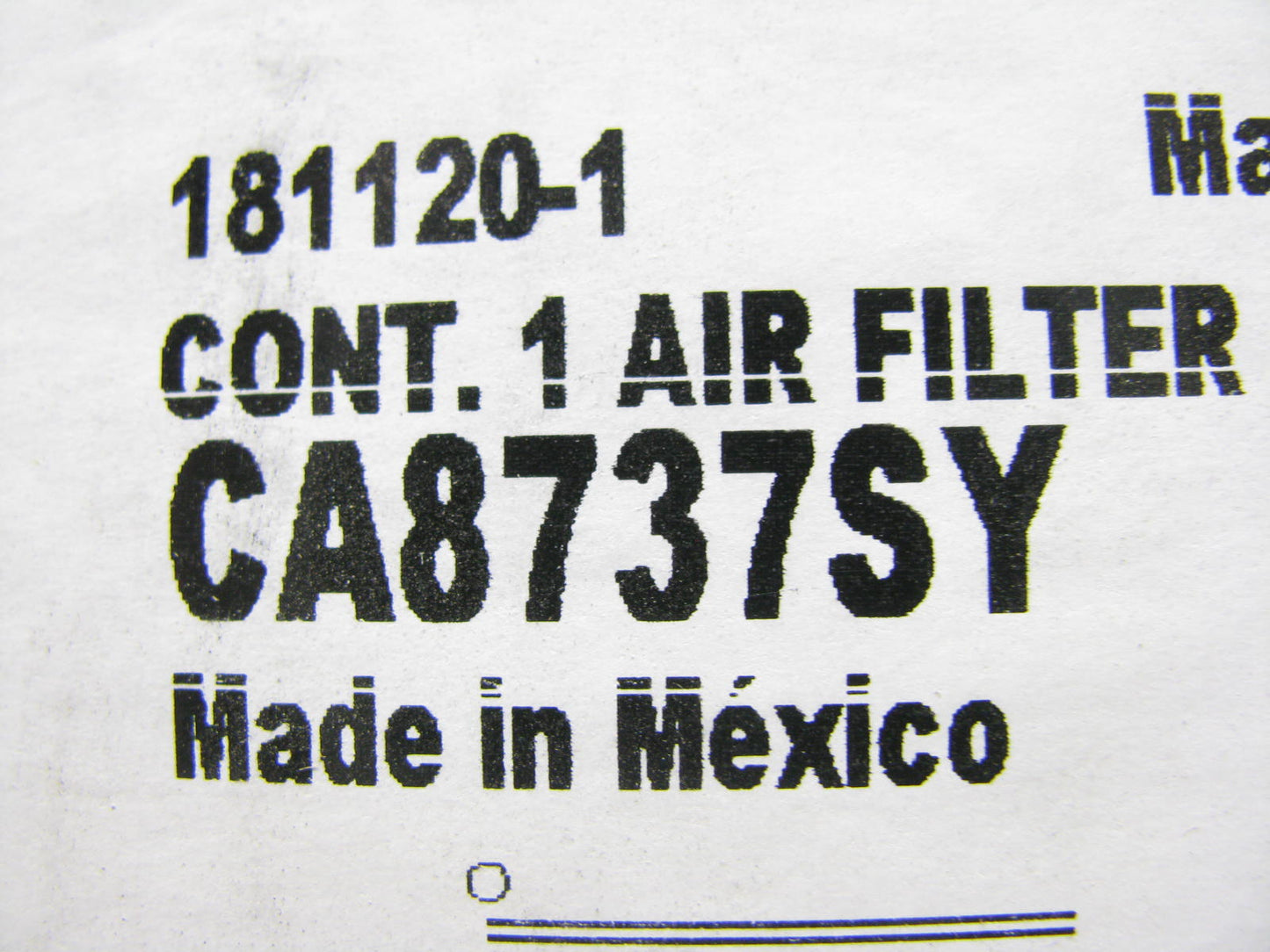 (2) Fram CA8737SY Air Filter Replaces 46569 LAF4545 AF25485 P829333 88569 RS3545