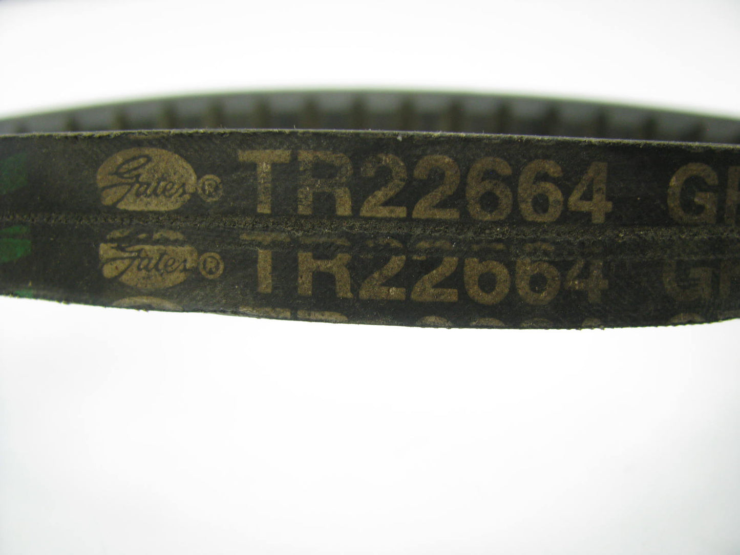 Gates TR22664 Accessory Drive Belt - 0.69'' X 67 - 38 Degree