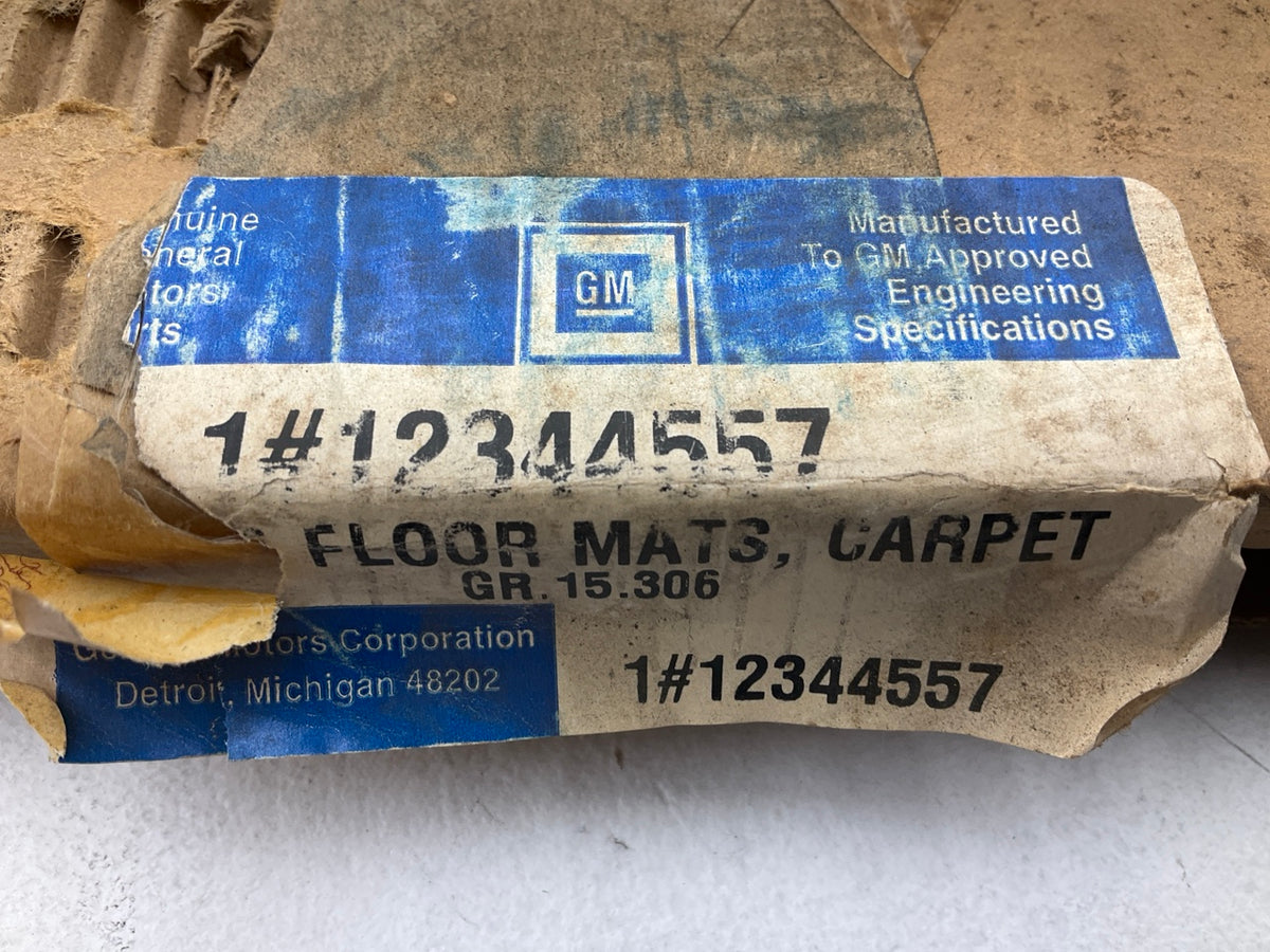 NOS OEM GM 12344557 Rear Floor Mat 2-piece Carpet Set 15''x13''