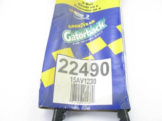 Goodyear 22490 Accessory Drive Belt - 0.69'' X 49.00'' - 38 Degree