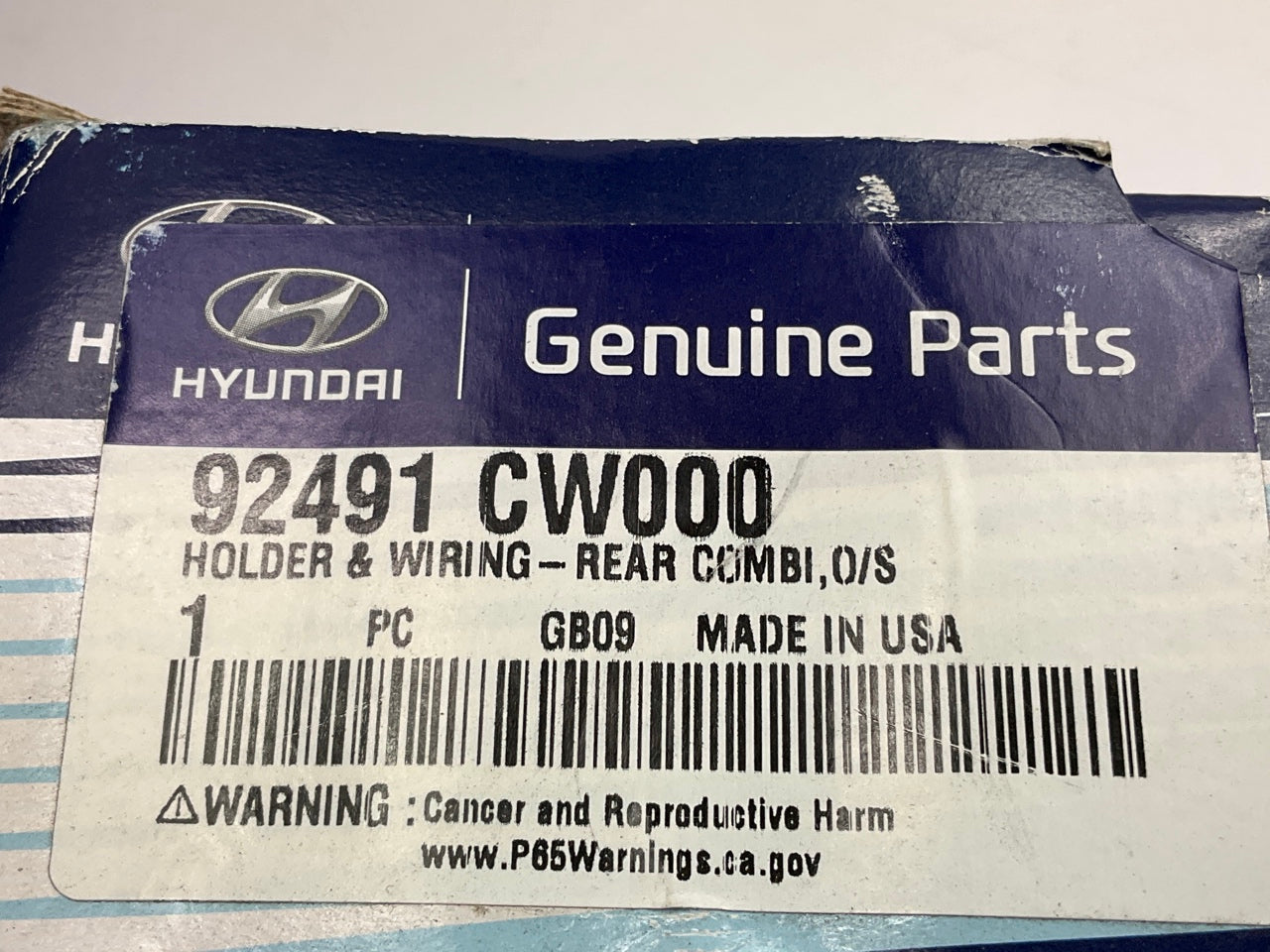 Tail Light Wiring Wire Harness & Bulb OEM For 2022-24 Tucson US Built 92491CW000