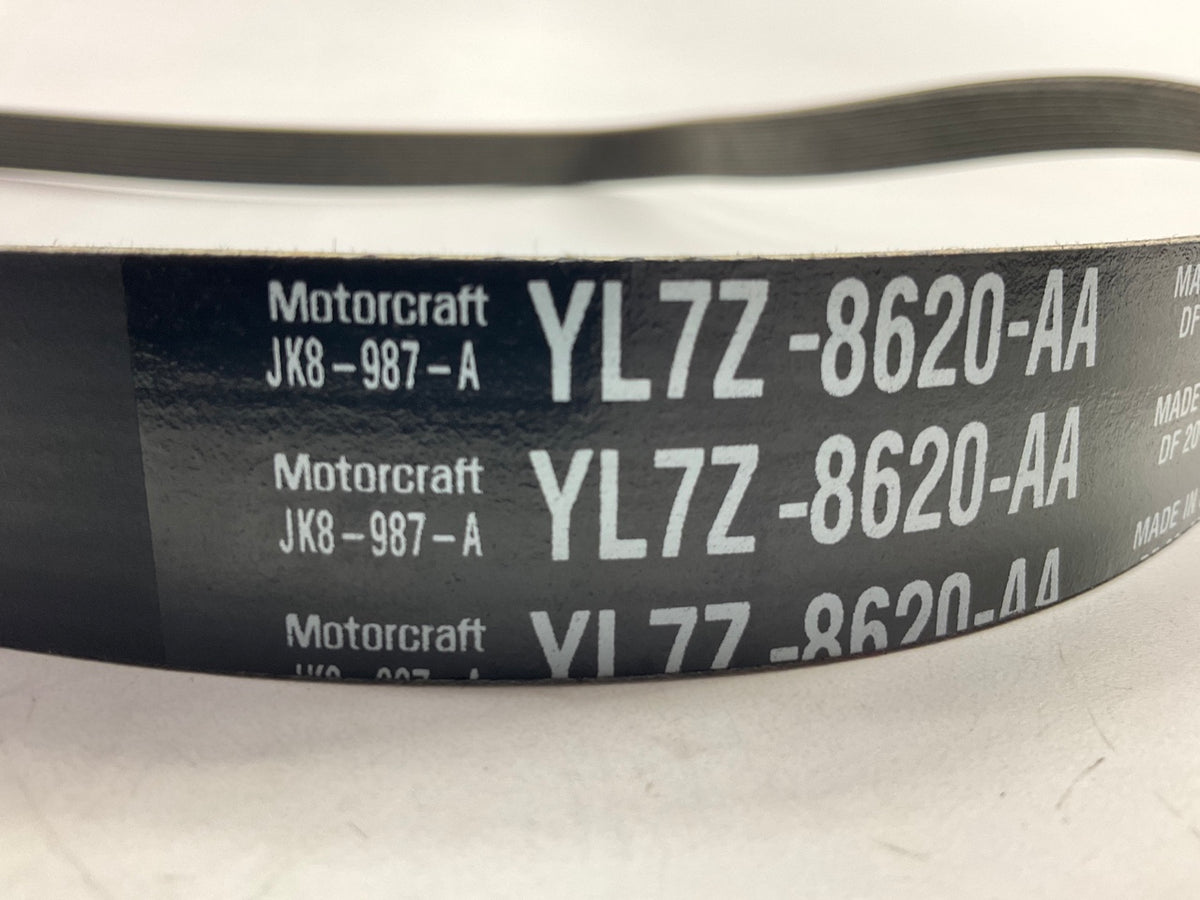 Motorcraft JK8-987-A Serpentine Belt - YL7Z-8620-AA