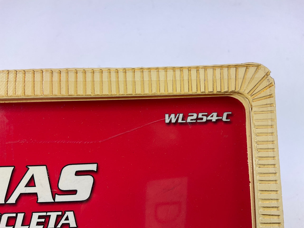 Pilot WL254-C Skull & Flames Motorcycle License Plate Frame For MOTORCYCLES
