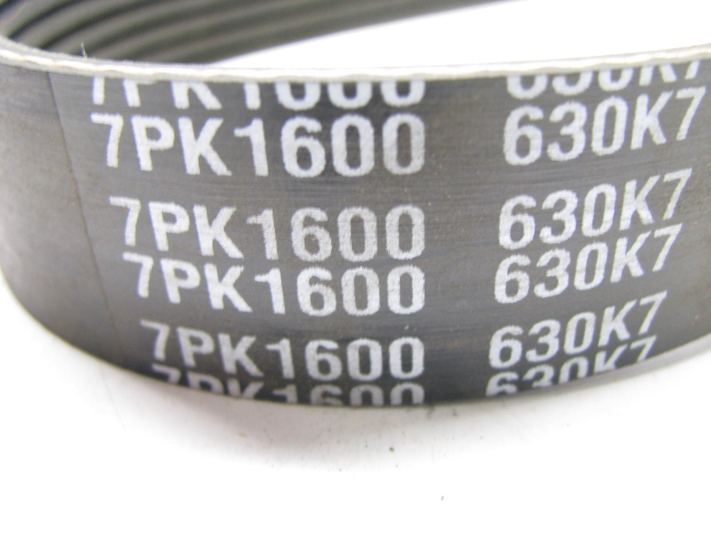 PRIVATE LABEL - 7PK1600 Sepentine Belt