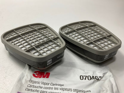 3M 07046 Organic Vapor Cartridge 6001 - 2 Pack (as Shown) Exp. 05/2027