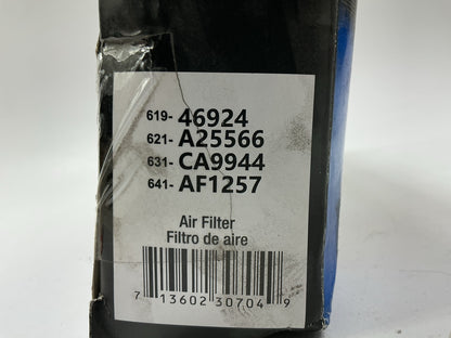 Auto Extra 619-46924 Engine Air Filter