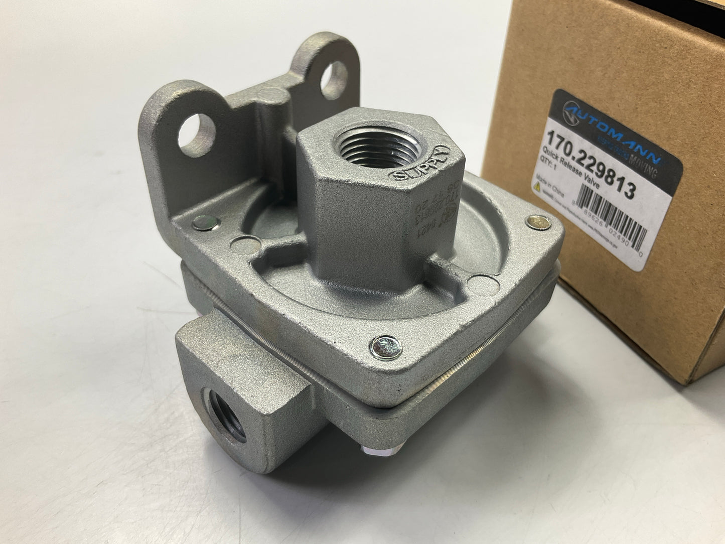Automann 170.229813 QR-1 Quick Release Valve