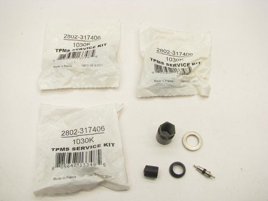 (4) Autopart International 2802-317406 TPMS Tire Pressure Sensor Service Kits
