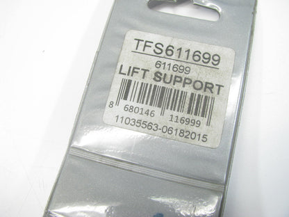 Autopart International TFS611699 Back Glass Lift Support 2001-05 Astro & Safari