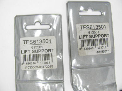 (2) Autopart TFS613501 Hood Lift Support For 1978-96 Buick Century 1978-87 Regal