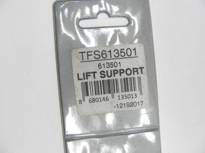 Autopart TFS613501 Hood Lift Support For 1978-96 Buick Century 1978-87 Regal