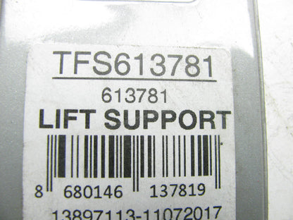 Autopart International TFS613781 Hood Lift Support