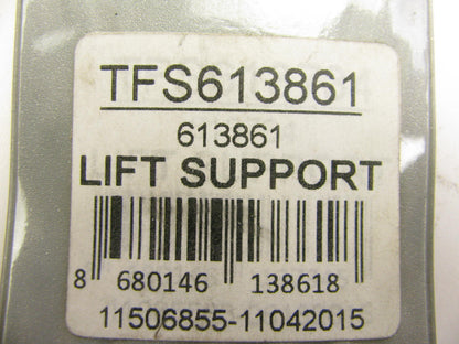 Autopart Intl TFS613861-2 Trunk Lid Lift Support Shocks Struts - PAIR
