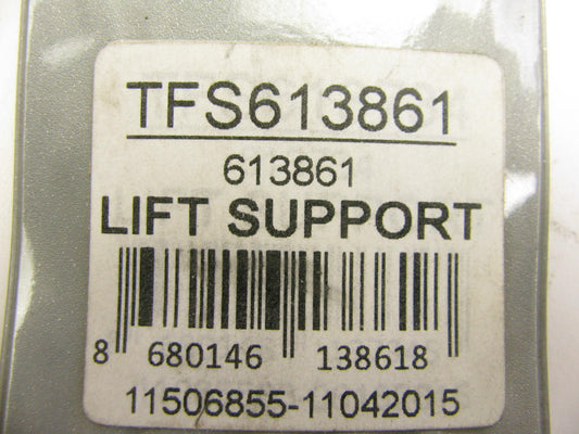 Autopart Intl TFS613861-2 Trunk Lid Lift Support Shocks Struts - PAIR