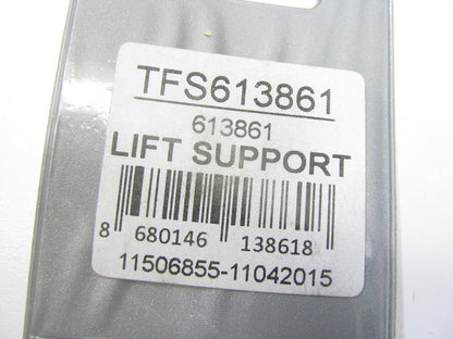 Autopart International TFS613861 Trunk Lid Lift Support Shock Strut