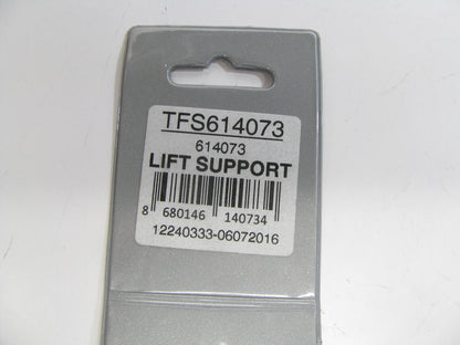 (x2) Autopart International TFS614073 Trunk Lid Lift Support Shocks