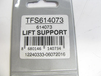 Autopart International TFS614073 Trunk Lid Lift Support Shock Strut