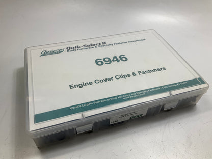 Auveco 6946 Engine Cover Fastener Retainer Clip Assortment Pack, 250 Pcs