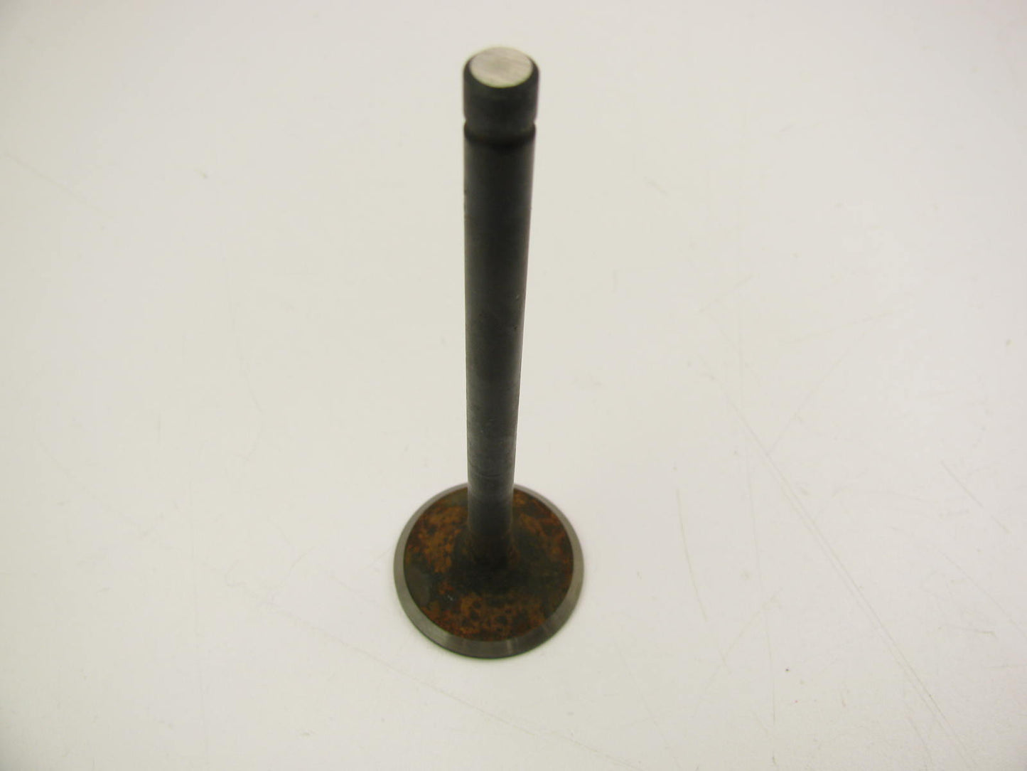 Beck Arnley 021-2894 Engine INTAKE Valve For 1979-1980 Honda 1.8L EK1