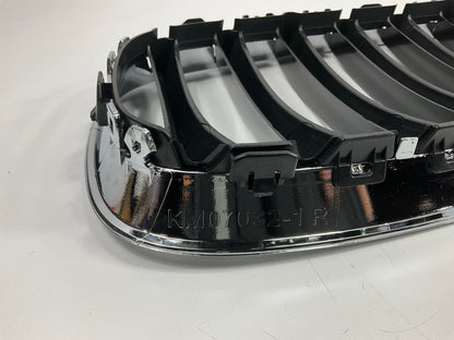 NEW AFTERMARKET KM07032HBR Bumper Grille Right Insert - BMW Z4 E89