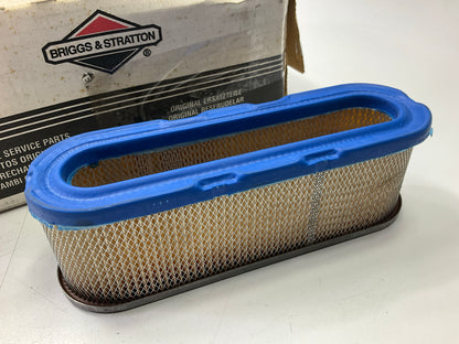 Briggs & Stratton 399806S Air Filter