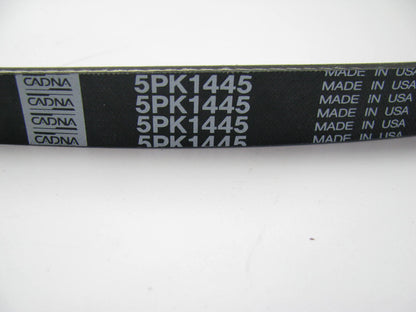 Cadna 5PK1445 Serpentine Drive Belt - 2009-2010 Chevrolet Aveo 1.6L