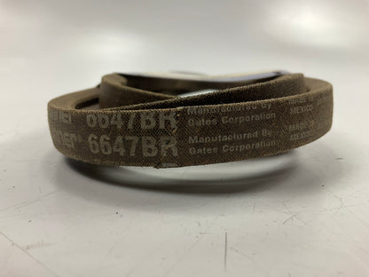 Carquest 6647BR BladeRunner Power Equipment Accessory Drive Belt, 21/32 X 80-3/8