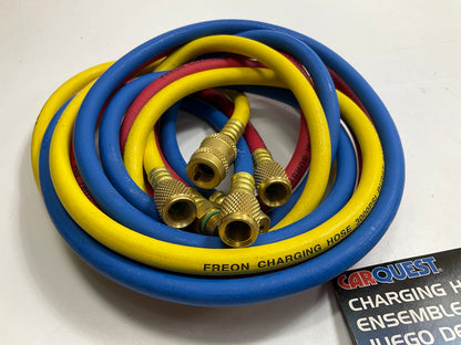 Carquest 7407 A/C Charging Hose Set, 72'' A/C Charging Hose Set