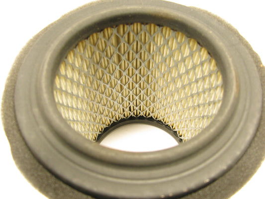 Carquest 83177 Air Filter For Worthington, Quincy Compressors
